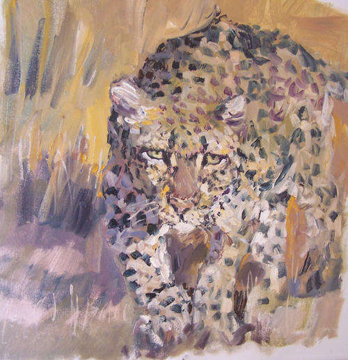 wild leopard
