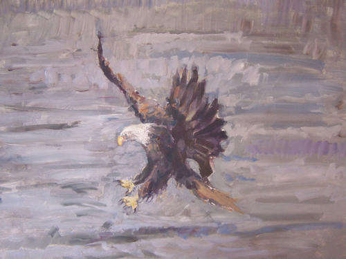 eagle(Oil on canvas)52cmx42cm