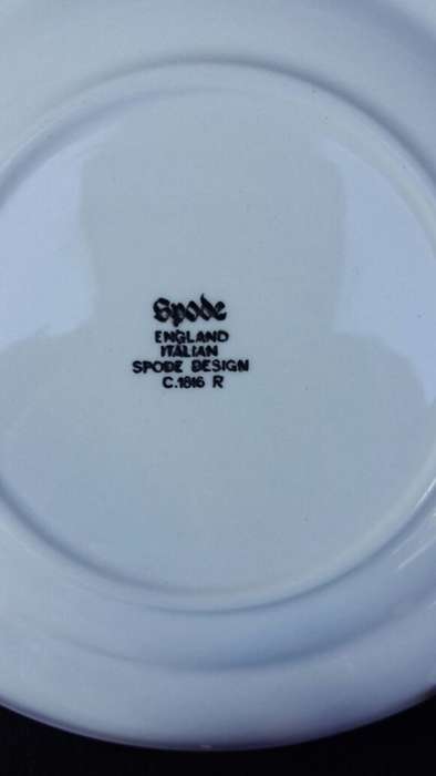 WOW !!!  A GORGEOUS SPODE TEA CUP AND SAUCER DUO