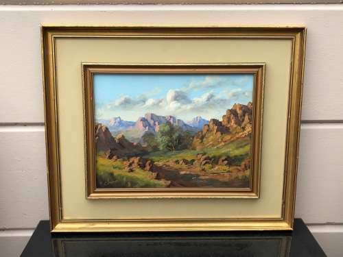 INVESTMENT ART !! TITTA FASCIOTTI (SA 1927-1993) OIL ON BOARD LANDSCAPE PAINTING TITLED ON THE REAR