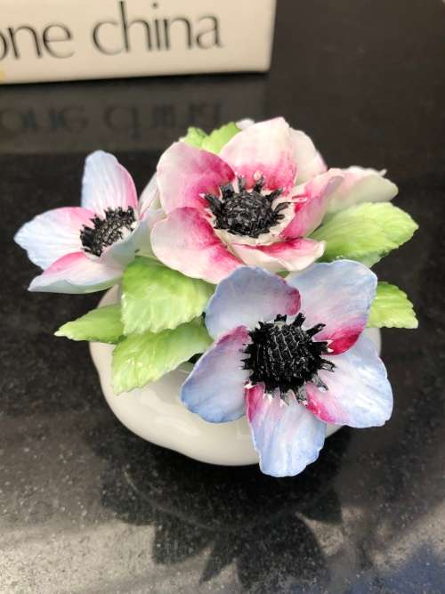 ROYAL ALBERT ANEMONES FLOWER OF THE MONTH MARCH DUO AND POSY IN THE ORIGINAL BOX - DUO IS MINT !!!