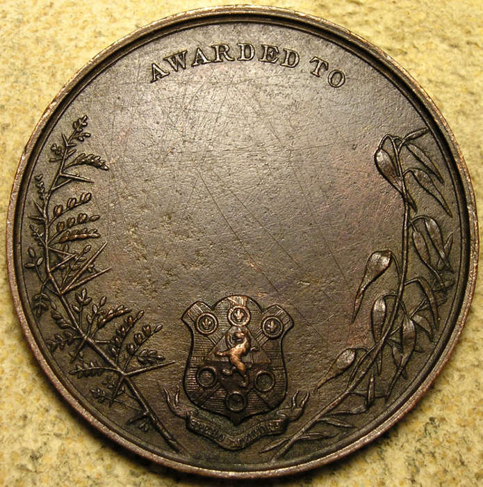 South Africa, Cape Colony: 1892 Kimberley International Exhibition Award Medal