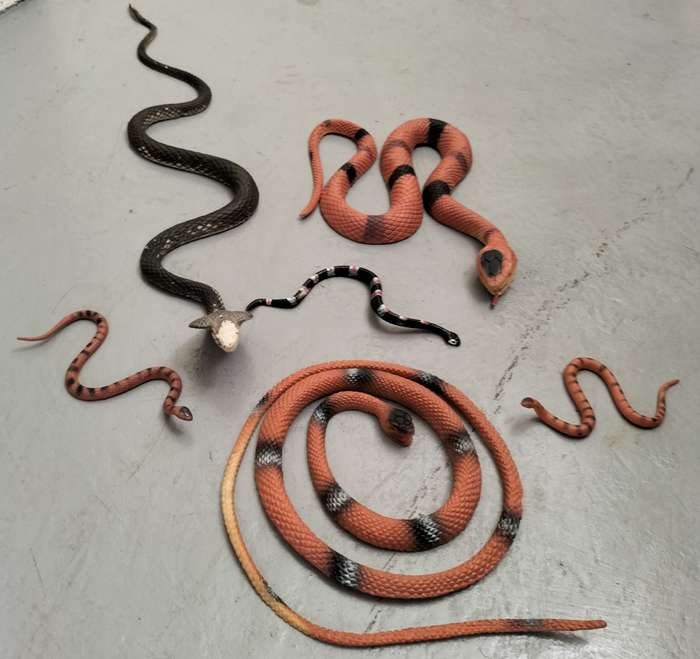 Collection of plastic toy snakes (x 6)