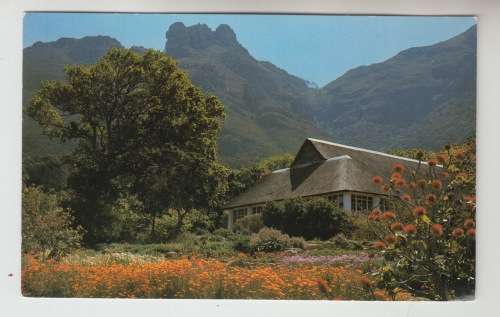 Vintage Unused Postcard - Kirstenbosch Cape Town