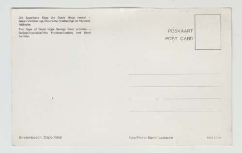 Vintage Unused Postcard - Kirstenbosch Cape Town