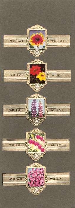 Vintage Flower Themed Wilhelm II Cigar Labels, Paper Tobacco Ephemera, Glued to page. Lot of 5. 1950