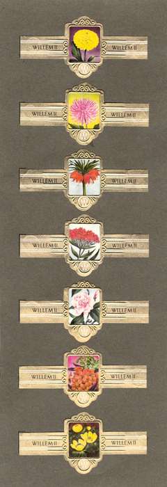 Vintage Flower Themed Wilhelm II Cigar Labels, Paper Tobacco Ephemera, Glued to page. Lot of 7. 1950
