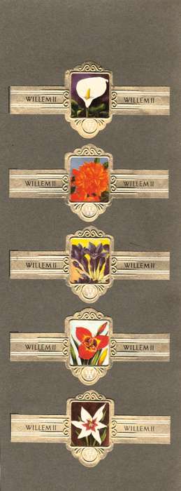 5 Vintage Flower Themed Wilhelm II Cigar Labels, Paper Tobacco Ephemera, Glued to page. 1950`s.