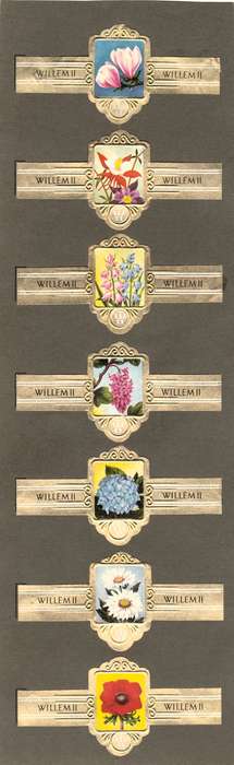 7 Vintage Flower Themed Wilhelm II Cigar Labels, Paper Tobacco Ephemera, Glued to page. 1950`s.