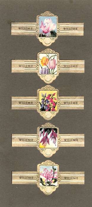 5 Vintage Flower Themed Wilhelm II Cigar Labels, Paper Tobacco Ephemera, Glued to page. 1950`s.