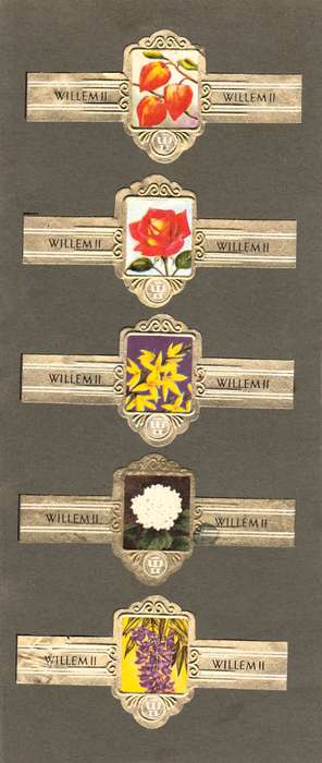 Vintage Flower Themed Wilhelm II Cigar Labels, Paper Tobacco Ephemera, Glued to page. Lot of 5. 1950