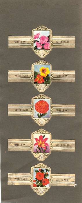 Vintage Flower Themed Wilhelm II Cigar Labels, Paper Tobacco Ephemera, Glued to page. Lot of 5. 1950