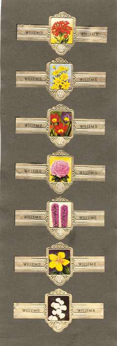 7 Vintage Flower Themed Wilhelm II Cigar Labels, Paper Tobacco Ephemera, Glued to page. 1950`s.