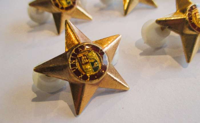 Ex Unitate Vires Pips X 5 - 2,5cm