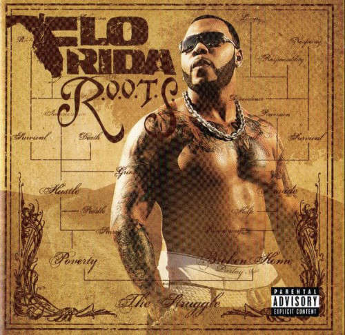 Flo Rida - Route Of Overcoming The Struggle (CD)