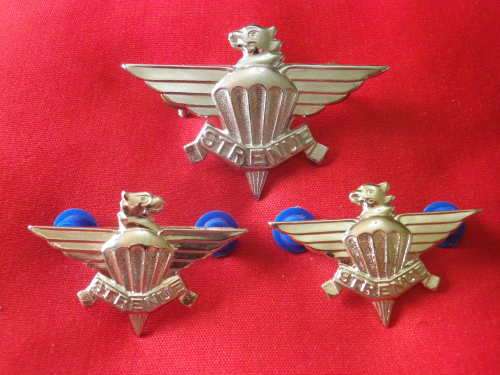 SADF / SANDF - 3 PARA BATTALION SET BERET + FACING PAIR COLLAR BADGES    (2798)