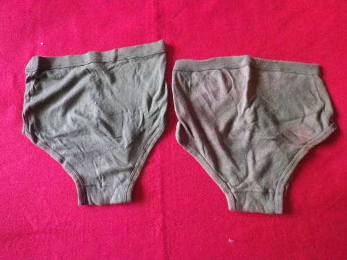 RHODESIAN ARMY ISSUE 2 X UNDERPANTS - INSCRIBED - SOME STAINS (8200)