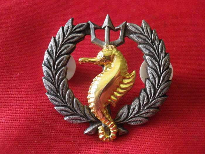 SA NAVY - INDEPENDENT SHIPS + AIR/SEA RESCUE BI METAL BREAST BADGE - OXIDISED SILVER WREATH  (8665)