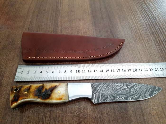Handmade Damascus steel HUNTING  knife with RAM HORN handle scales. Perfect X-mas Gift !!