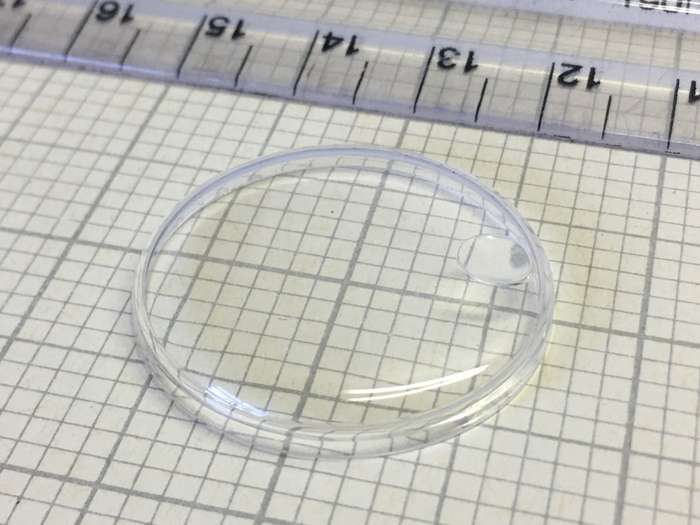 ROTARY  AS 1555/1581 - 283mm acrylic crystal with magnified date display