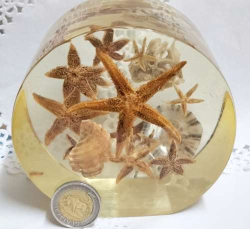 NOVELTY ART* SEA SHELLs+ Underwater Treasures Wrapped  in Resin *LARGE Weight 814 grams