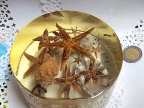 NOVELTY ART* SEA SHELLs+ Underwater Treasures Wrapped  in Resin *LARGE Weight 814 grams