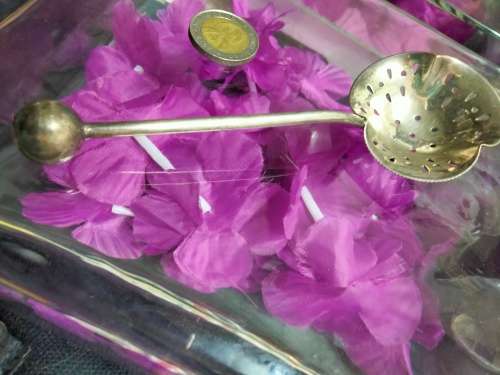 1 Cloverleaf shape Sugar Sifter Plated Spoon  bowl serated edges Cutout multiple shapes Ball finial
