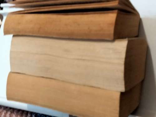 Books USED Author Thomas Perry Night life Butchers boy*Colin Forbes Rhinoceros*Val McDermid Distant