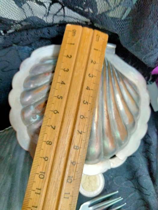 EPNS Clam shell Butter Dish+frostedGlass inner+1 Clam Shell dish+6Cocktail forks LOOK At My BUY NOW