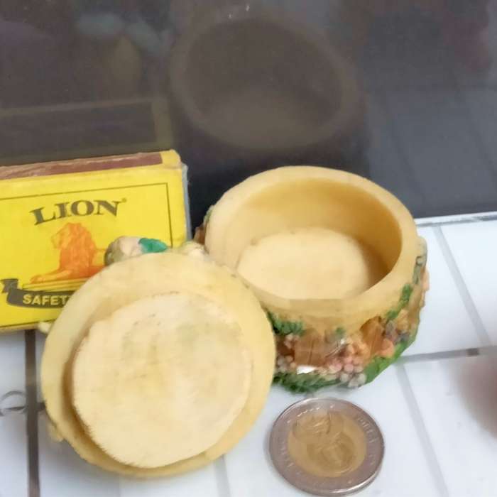 Pill Box lift of lid small composite