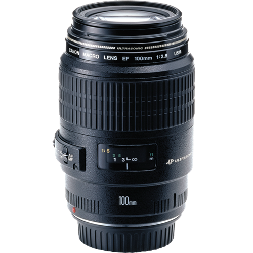 In the Canon EF 100mm f/2.8 USM Macro Lens