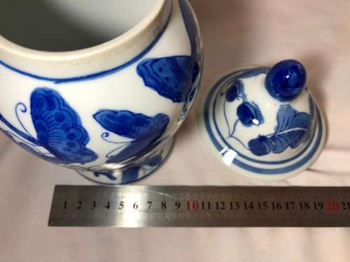 Stunning Genuine Ming Blue and White Butterfly and Floral Design Porcelain Vase with Lid