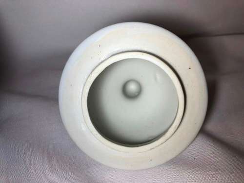 Stunning Genuine Ming Blue and White Butterfly and Floral Design Porcelain Vase with Lid