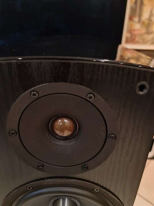 Fantastic Jamo C809 High End Floorstanding Loudspeakers