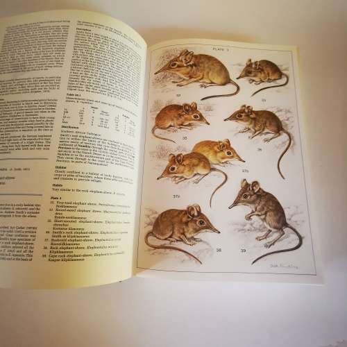 The Mammals of the Southern African Subregion : New Edition by J.D. Skinner & R.H.N. Smithers