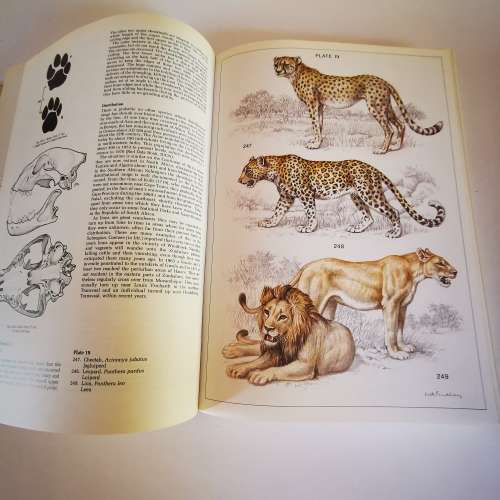 The Mammals of the Southern African Subregion : New Edition by J.D. Skinner & R.H.N. Smithers