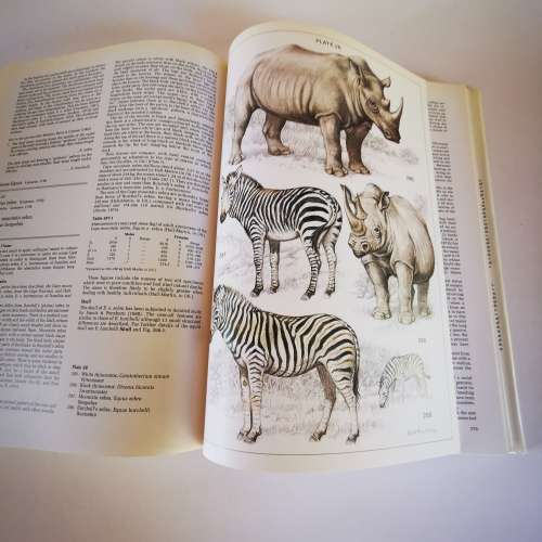 The Mammals of the Southern African Subregion : New Edition by J.D. Skinner & R.H.N. Smithers