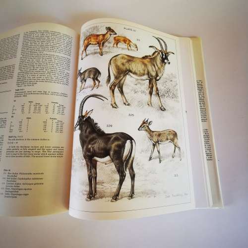 The Mammals of the Southern African Subregion : New Edition by J.D. Skinner & R.H.N. Smithers