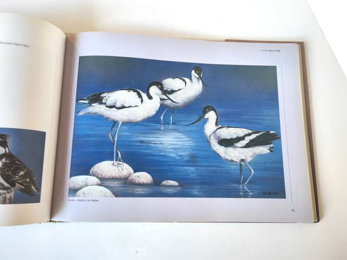 Out of the Meek, comes the Wild: Lisa Halstead Wildlife Artist by D.E. Wien