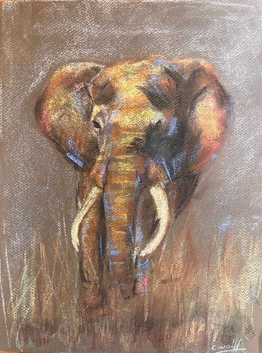 Elephant blue