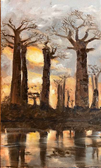 Baobab reflections