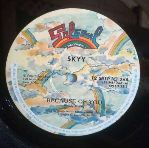 SKY MAXI SINGLE - BECAUSE OF YOU
