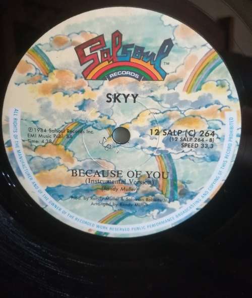 SKY MAXI SINGLE - BECAUSE OF YOU