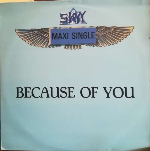 SKY MAXI SINGLE - BECAUSE OF YOU