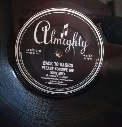 BACK TO BASICS LP VINYL RECORD