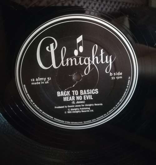 BACK TO BASICS LP VINYL RECORD