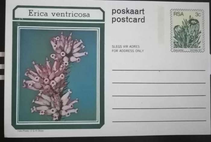 Post Card Pre-Paid Post Card