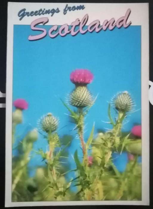Post Card Not used