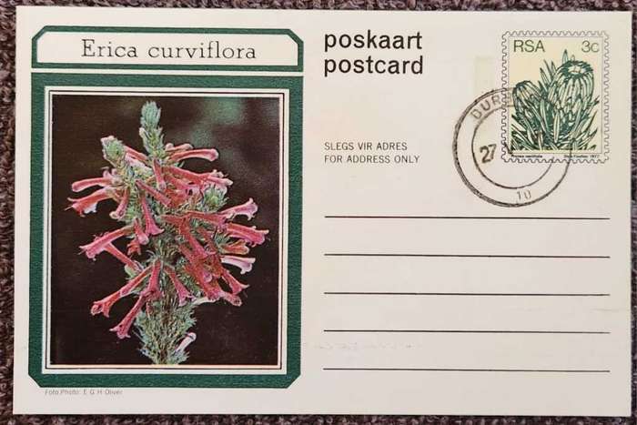 Post Card Pre-Paid Post Card