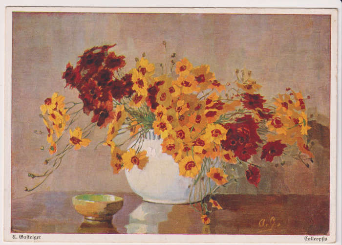 Post Cards / Maxi Card not used